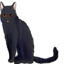 claw