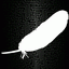 Angel_of_the_Lord