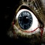   SHorror