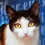   briar-