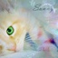   Sunny_Cat