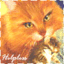 Starpaw