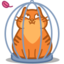 ZelenkA