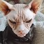 Evil_fon_Creepy