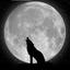   Shadow_Wolf