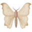   Chrissal