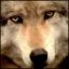  Ironwolf