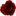 Иконка сайта TVD: Delirium