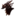   Aeternitas -   